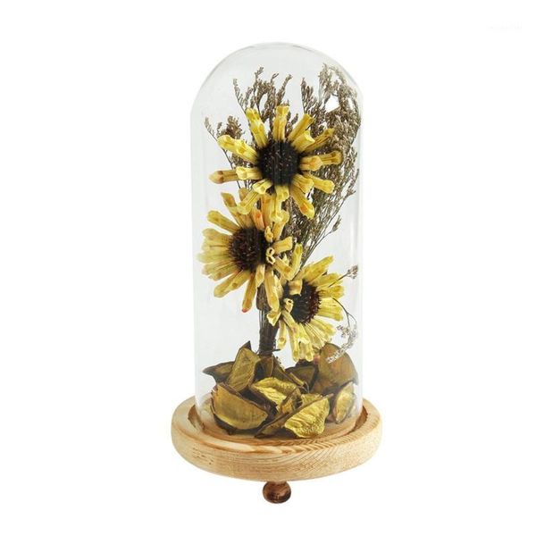 sesame flower glass dome led lighting dried flowers vase with wooden base small night light for home room decoration1
sesame flower glass dome led lighting dried flowers vase with wooden base small night light for home room decoration1