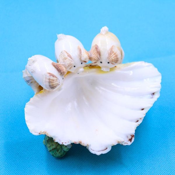 natural scallop seashell clam crafts soap holder beach wedding decorations aquarium landscape decor shells for jewelry making h bbycpq
natural scallop seashell clam crafts soap holder beach wedding decorations aquarium landscape decor shells for jewelry making h bbycpq