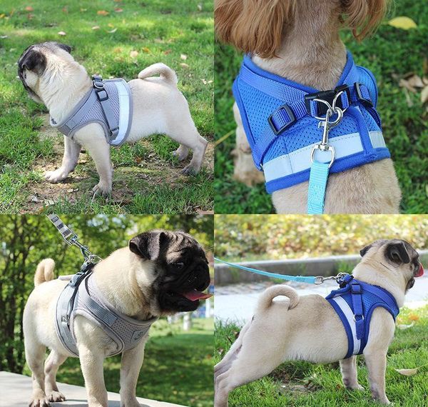 dog harness for small medium dogs nylon mesh puppy cat harnesses vest reflective walking lead le bbyrya yh_pack
dog harness for small medium dogs nylon mesh puppy cat harnesses vest reflective walking lead le bbyrya yh_pack