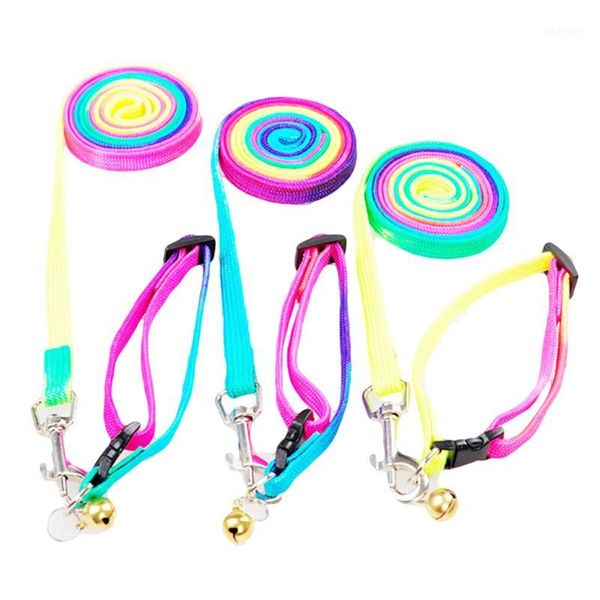 dog collars & leashes adjustable small pet leash for dogs product puppy lead walk out hand strap collar cat ej8939661
dog collars & leashes adjustable small pet leash for dogs product puppy lead walk out hand strap collar cat ej8939661