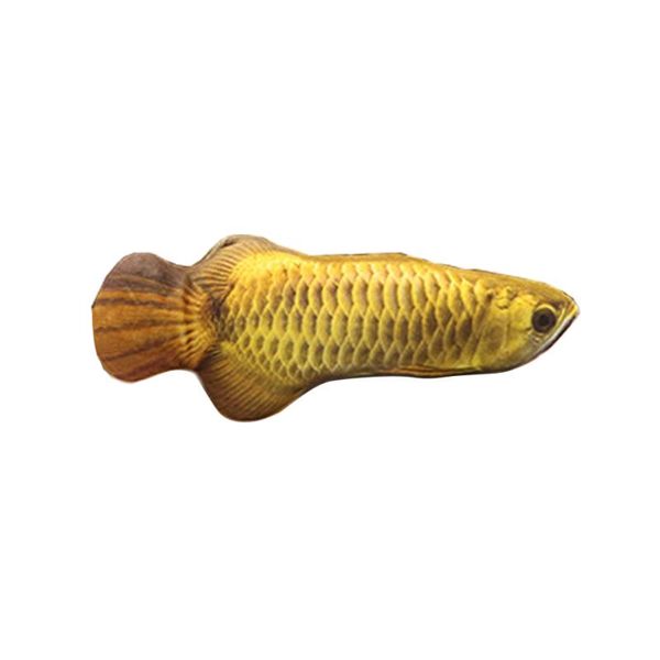 kennels & pens pet cat fish cushion pillow animal catnip toys interactive doll (gold arowana) 
kennels & pens pet cat fish cushion pillow animal catnip toys interactive doll (gold arowana)