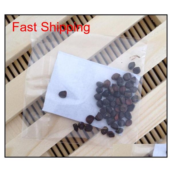 boston ivy climbing foliage plants 3 leaf brocade flower seeds the four seasons information easy to kind o qylrmb bbgargden
boston ivy climbing foliage plants 3 leaf brocade flower seeds the four seasons information easy to kind o qylrmb bbgargden