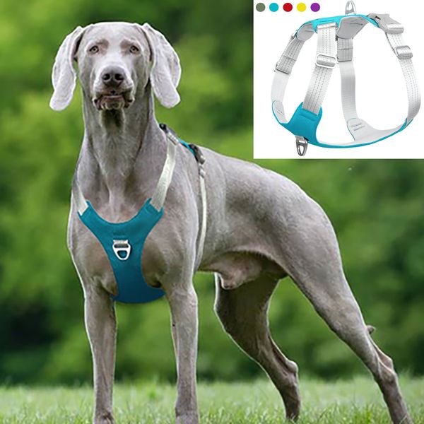 pet dog harness training reflective dog chest vest for small medium big strong dogs adjustable outdoor protective dog harness 1020
pet dog harness training reflective dog chest vest for small medium big strong dogs adjustable outdoor protective dog harness 1020