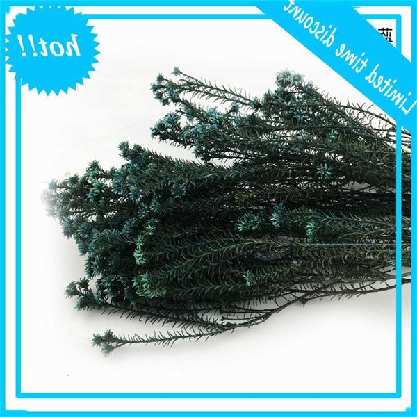 immortal alps constellation natural dried flowers home bedroom diy art flower arrangement yunnan
immortal alps constellation natural dried flowers home bedroom diy art flower arrangement yunnan