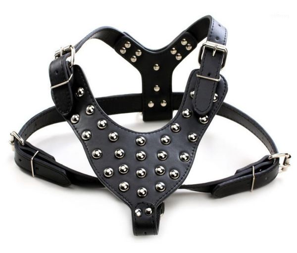 pet harness large dog haeness pet chest strap rivets fashion cool dog chest strap puppy collar special new supplies1
pet harness large dog haeness pet chest strap rivets fashion cool dog chest strap puppy collar special new supplies1