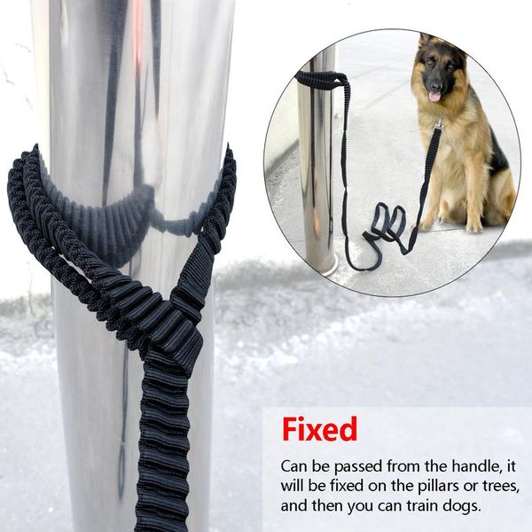 no-pull dog tracking lead leash special non-slip design pet long strap with soft handle for daily training running wal wmtwwx
no-pull dog tracking lead leash special non-slip design pet long strap with soft handle for daily training running wal wmtwwx