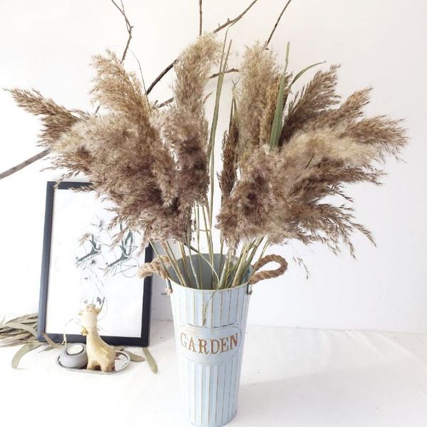 20 pcs natural pampas grass reeds wedding flower bunch for home decor dried flowers reeds
20 pcs natural pampas grass reeds wedding flower bunch for home decor dried flowers reeds