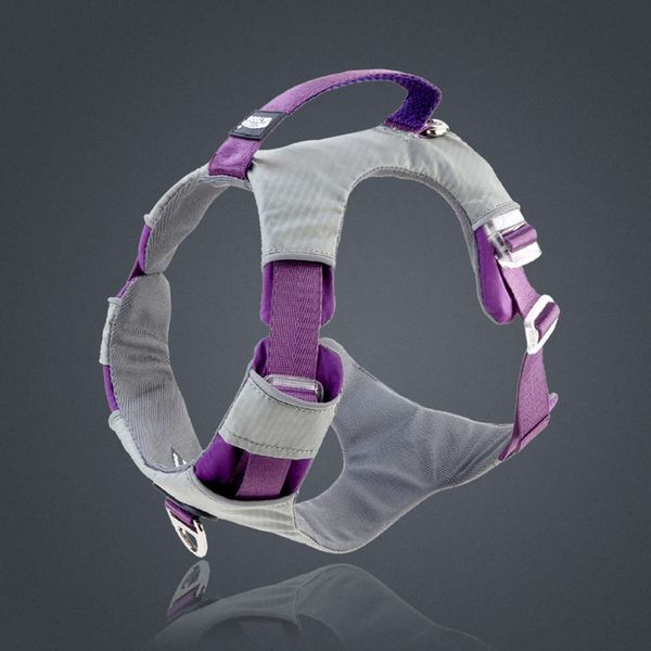 pet products adjustable reflective dog traction rope outdoor explosion-proof vt type cht strap
pet products adjustable reflective dog traction rope outdoor explosion-proof vt type cht strap