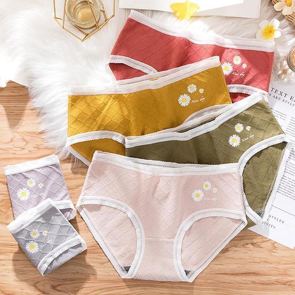 women's panties underwear comfortable seamless underpants marguerite lace hem mid waist solid color cotton girls briefs, Black;pink
women's panties underwear comfortable seamless underpants marguerite lace hem mid waist solid color cotton girls briefs, Black;pink