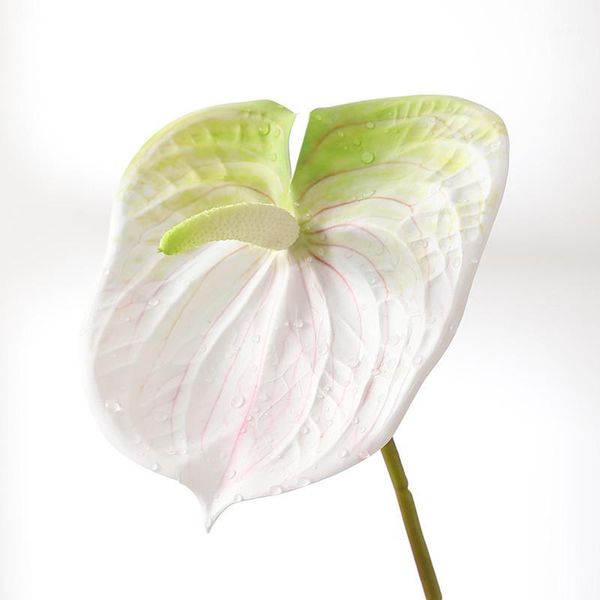 bunch of artificial flowers fake anthurium bouquet bonsai wedding arrangement christmas family table living room decoration1
bunch of artificial flowers fake anthurium bouquet bonsai wedding arrangement christmas family table living room decoration1