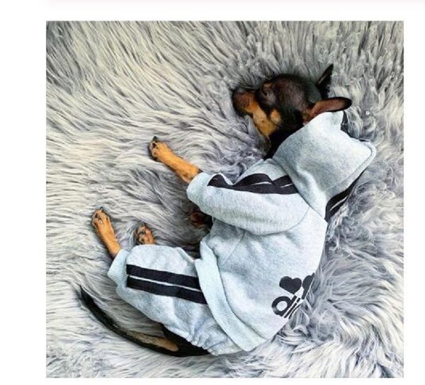 2020 pet clothes french bulldog puppy dog costume pet jumpsuit chihuahua pug pets dogs clothing for small medium dogs puppy outfit
2020 pet clothes french bulldog puppy dog costume pet jumpsuit chihuahua pug pets dogs clothing for small medium dogs puppy outfit