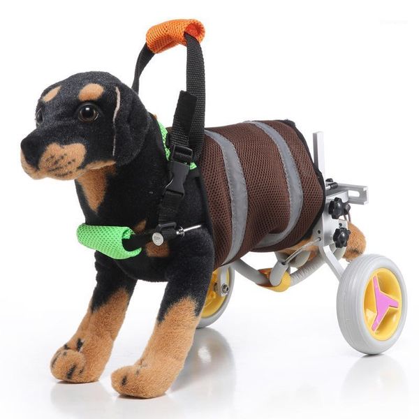adjustable dog wheelchair small dog back legs belly band protect spine leash hind legs rehabilitation walk assistance1
adjustable dog wheelchair small dog back legs belly band protect spine leash hind legs rehabilitation walk assistance1