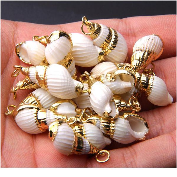 gold plated natural spiral seashells for diy handmade shells pendant jewelry handmade home decoration for jewelry mak jlllwc, Black
gold plated natural spiral seashells for diy handmade shells pendant jewelry handmade home decoration for jewelry mak jlllwc, Black