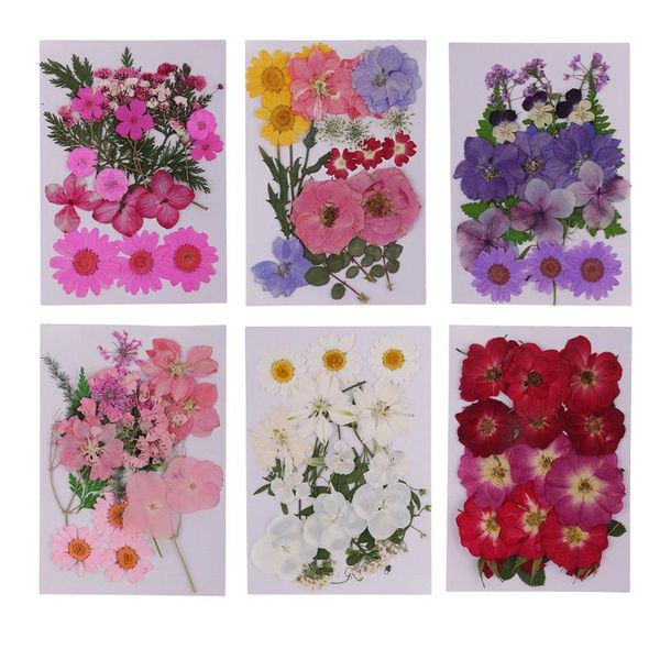 lots mixed real pressed flower dried flowers for resin jewellery scrapbooking phone case making crafts diy dry plants
lots mixed real pressed flower dried flowers for resin jewellery scrapbooking phone case making crafts diy dry plants