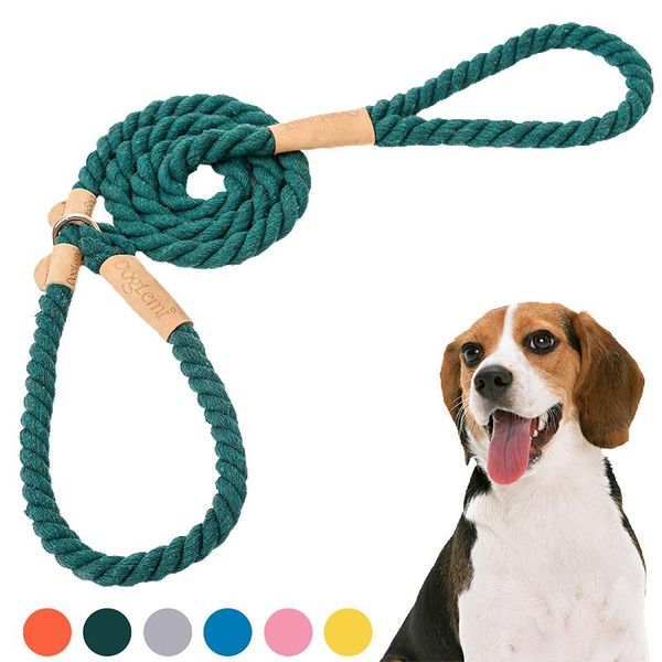 dog leash slip rope lead leash strong heavy duty braided rope no pull training lead leashes for medium large dogs
dog leash slip rope lead leash strong heavy duty braided rope no pull training lead leashes for medium large dogs