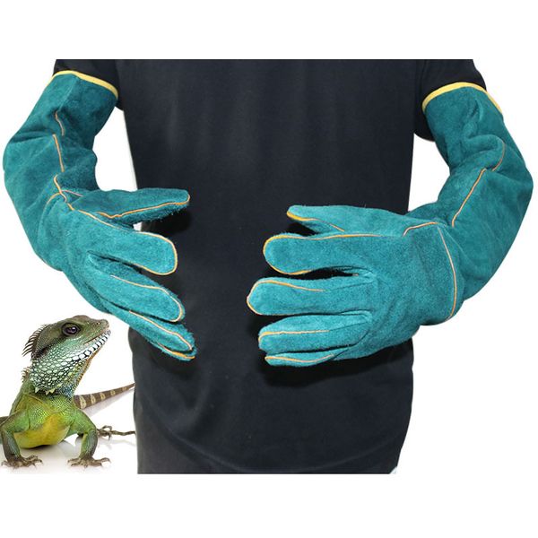 animal falcon handling gloves bite proof for catch dog cat reptile snake anti-bite protective gloves jk2012kd
animal falcon handling gloves bite proof for catch dog cat reptile snake anti-bite protective gloves jk2012kd