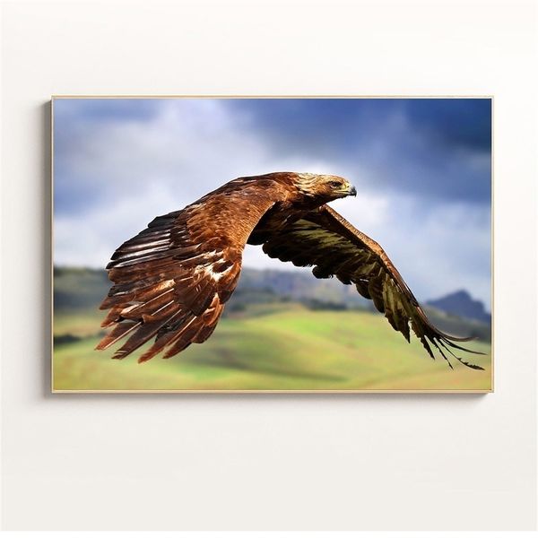 современное nordic wall art диких животные плакат печать орел холст картина масло скандинавской стена картины для гостиной куадрос decoracio
современное nordic wall art диких животные плакат печать орел холст картина масло скандинавской стена картины для гостиной куадрос decoracio