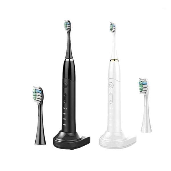 electric toothbrush sonic wave rechargeable smart chip toothbrush head replaceable whitening healthy gift1 
electric toothbrush sonic wave rechargeable smart chip toothbrush head replaceable whitening healthy gift1