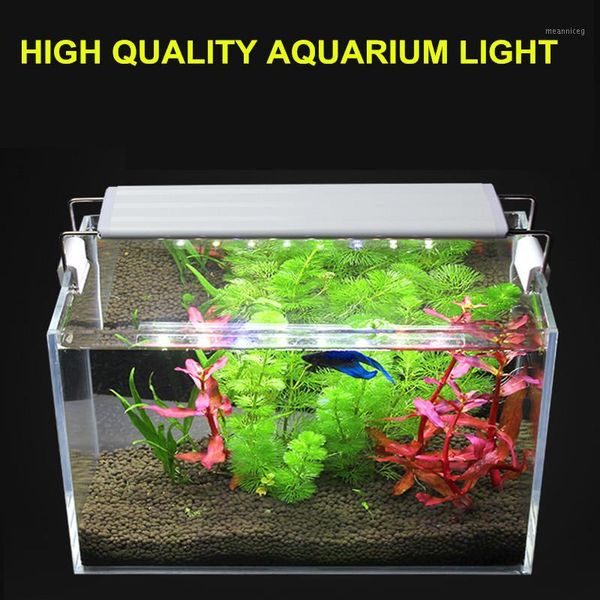 led aquarium light plants grow light 3w/4w/6w/8w/10w aquatic plant lighting waterproof clip-on lamp for fish tank extensible1
led aquarium light plants grow light 3w/4w/6w/8w/10w aquatic plant lighting waterproof clip-on lamp for fish tank extensible1
