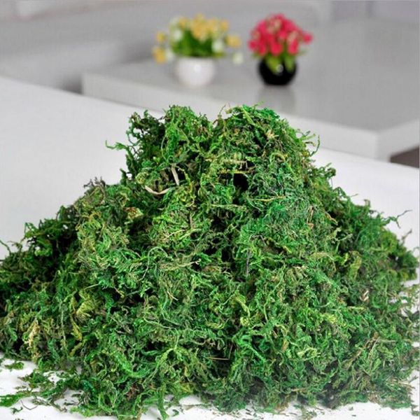 40g/bag artificial flower dried reindeer moss for garden home decoration diy craft flower bonsai basket plant wedding tu jlldrc
40g/bag artificial flower dried reindeer moss for garden home decoration diy craft flower bonsai basket plant wedding tu jlldrc