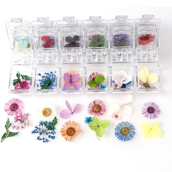 japanese dried flowers 12 petals real flower eternal flower p therapy crystal box for uv resin epoxy mold de jllwnd
japanese dried flowers 12 petals real flower eternal flower p therapy crystal box for uv resin epoxy mold de jllwnd