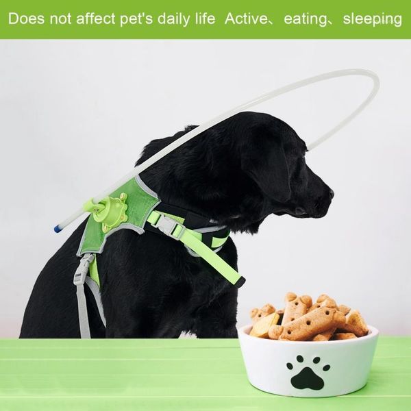 dog collars & leashes blind harness guiding device pet halo prevent collision build confidence product#1
dog collars & leashes blind harness guiding device pet halo prevent collision build confidence product#1