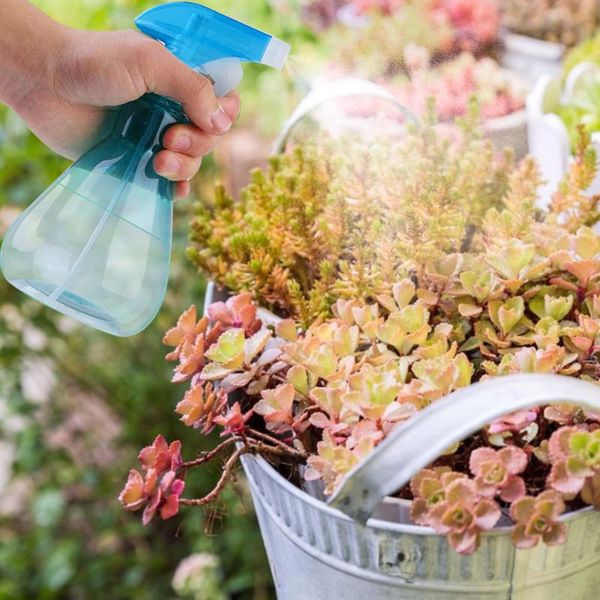 mist spraying бутылка пустой пластиковый опрыскиватель для очистки садоводства поливых рук давление садовой лейка 2x
mist spraying бутылка пустой пластиковый опрыскиватель для очистки садоводства поливых рук давление садовой лейка 2x