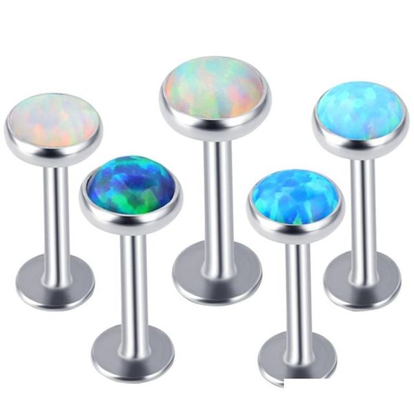 tragus earrings kits 50pcs labret monroes internal thread lip rings opal stone piercing body j sqcfsf new_dhbest, Black
tragus earrings kits 50pcs labret monroes internal thread lip rings opal stone piercing body j sqcfsf new_dhbest, Black