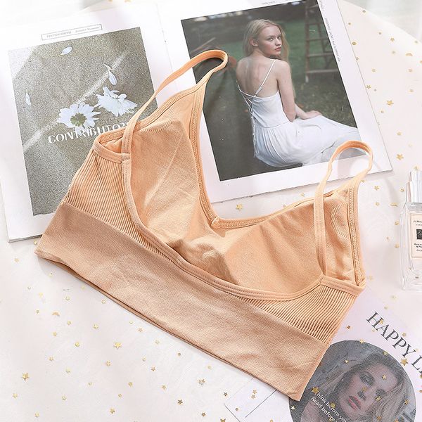 3Pieces/Lot Women Tank Crop Top Seamless Underwear Female Crop Tops Sexy Lingerie Sport Intimates Fashion Woman Top Padded Camisole Femme, Black
3Pieces/Lot Women Tank Crop Top Seamless Underwear Female Crop Tops Sexy Lingerie Sport Intimates Fashion Woman Top Padded Camisole Femme, Black