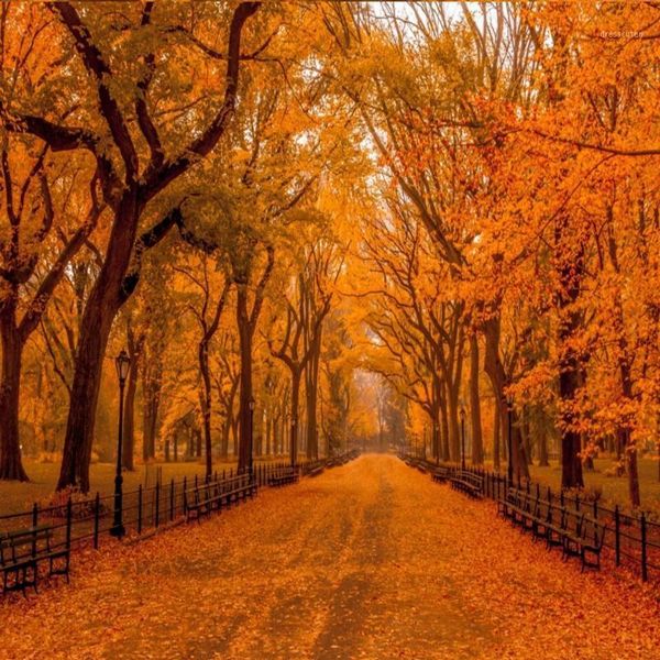 dropship colomac wallpaper forest red fire forest red deciduous wallpaper for bedroom walls wall murals papier peint mural 3d1
dropship colomac wallpaper forest red fire forest red deciduous wallpaper for bedroom walls wall murals papier peint mural 3d1