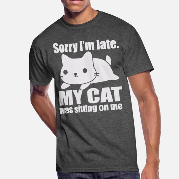my cat was sitting on me t shirt classic popular tracksuit hoodie sweatshirt