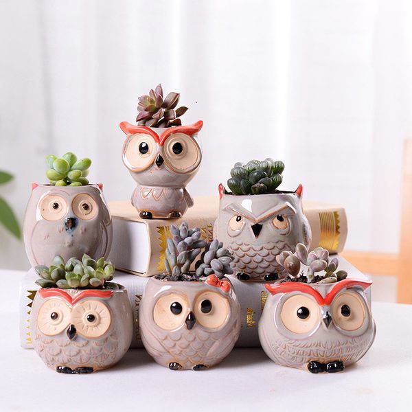 ceramics flowerpot cartoon owl mini thumbs garden pot for home decoration succulent plants flowerpots dhl 519
ceramics flowerpot cartoon owl mini thumbs garden pot for home decoration succulent plants flowerpots dhl 519
