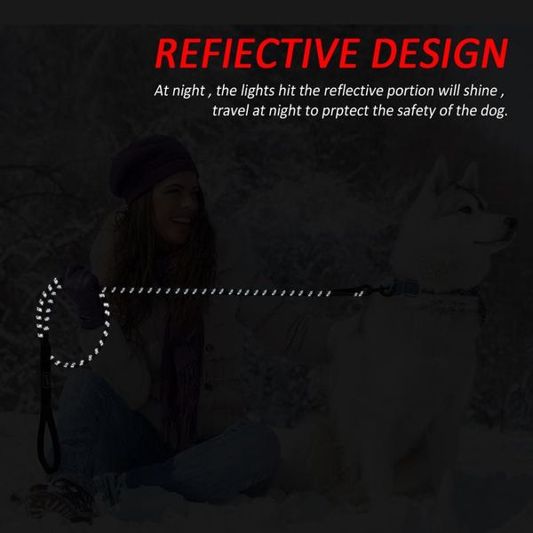 nylon reflective dog leash pet training leashes safety 6ft long mountain climbing rope dog lead for small medium la bbyxrk
nylon reflective dog leash pet training leashes safety 6ft long mountain climbing rope dog lead for small medium la bbyxrk