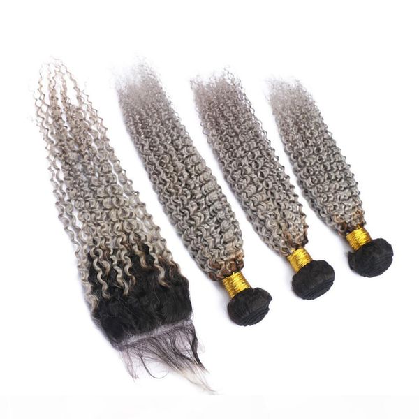 black and silver grey ombre peruvian kinky curly human hair bundles with closure #1b grey ombre virgin hair weave with 4x4 lace closure, Black;brown
black and silver grey ombre peruvian kinky curly human hair bundles with closure #1b grey ombre virgin hair weave with 4x4 lace closure, Black;brown