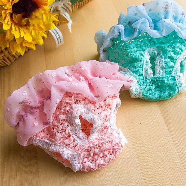 ahuapet female dog physiological sanitary pants for pet bitch dog underwear panties diapers for big dogs lace jumpsuit e1
ahuapet female dog physiological sanitary pants for pet bitch dog underwear panties diapers for big dogs lace jumpsuit e1