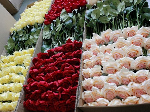 decorative flowers & wreaths dia 7cm artificial real touch rose bud wedding decoration home
decorative flowers & wreaths dia 7cm artificial real touch rose bud wedding decoration home