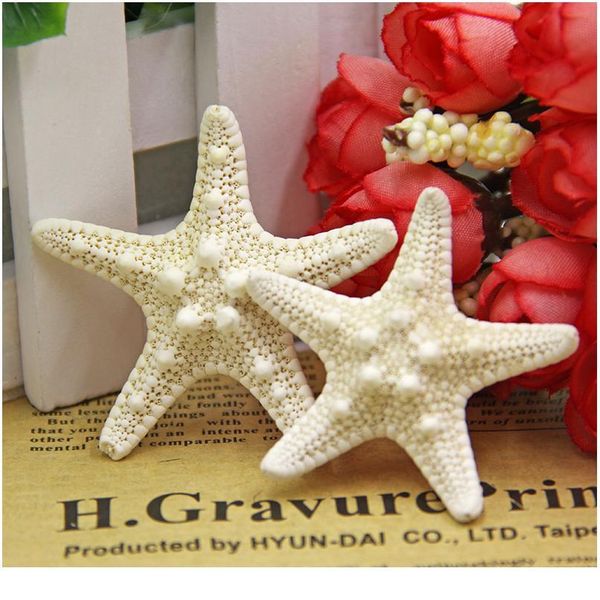 3pcs mediterranean style aquarium natural craft shell artificial sea star fish tankeco ornaments wedding party home qylpfh
3pcs mediterranean style aquarium natural craft shell artificial sea star fish tankeco ornaments wedding party home qylpfh