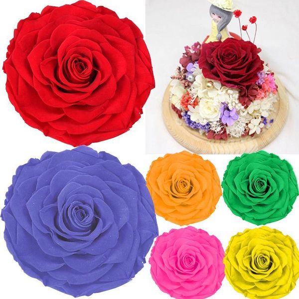 8pcs/box preserved rose flowers immortal rose 5cm diameter mothers day diy wedding eternal life flower material gift1
8pcs/box preserved rose flowers immortal rose 5cm diameter mothers day diy wedding eternal life flower material gift1