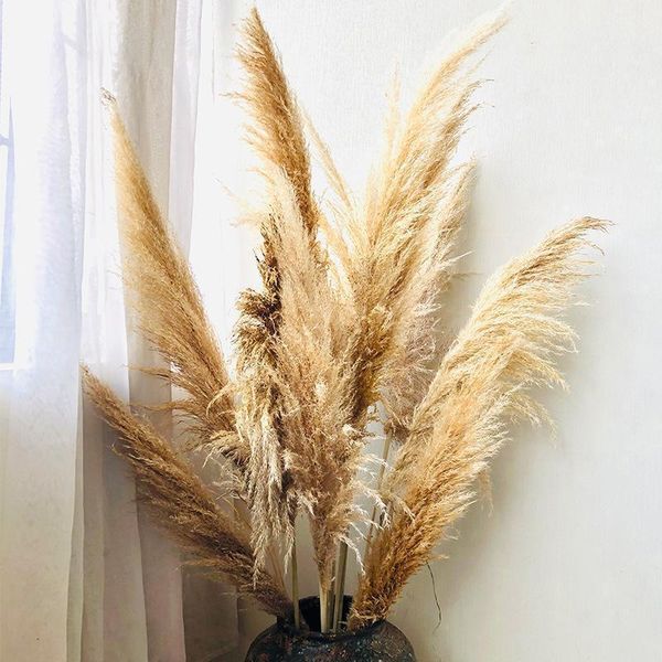 80cm natural big dried pampas grass bunch deep plant dry flower bouquet for diy artificial wedding party decoration1
80cm natural big dried pampas grass bunch deep plant dry flower bouquet for diy artificial wedding party decoration1