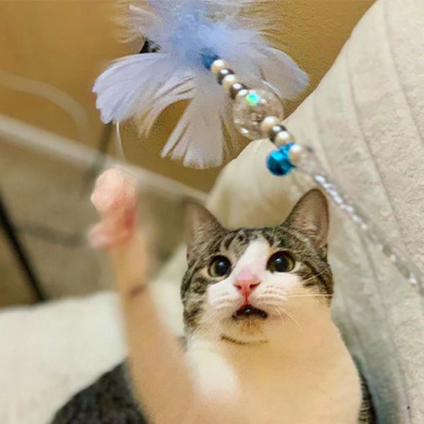 interactive cat toys stick cat fishing rod game wand feather stick toy with bell pet supplies accessory
interactive cat toys stick cat fishing rod game wand feather stick toy with bell pet supplies accessory