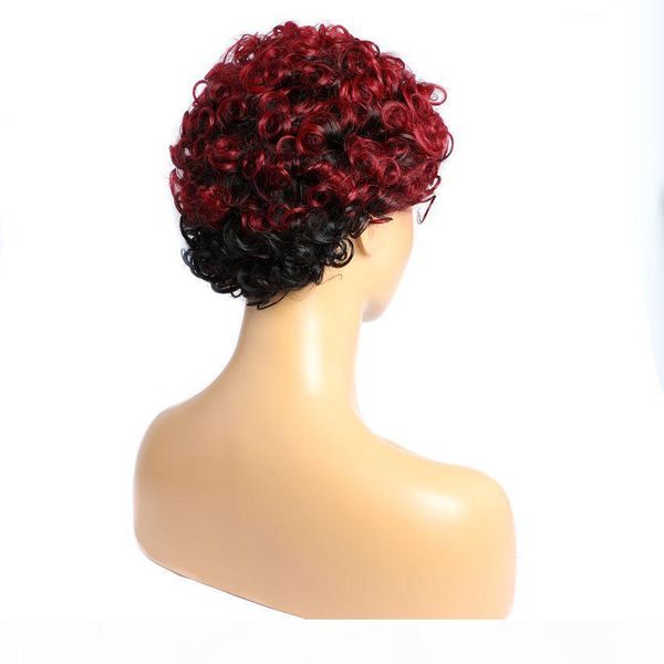1b 99j curly human hair capless wigs pre plucked hairline brazilian virgin human hair full machine made human wigs, Black;brown
1b 99j curly human hair capless wigs pre plucked hairline brazilian virgin human hair full machine made human wigs, Black;brown