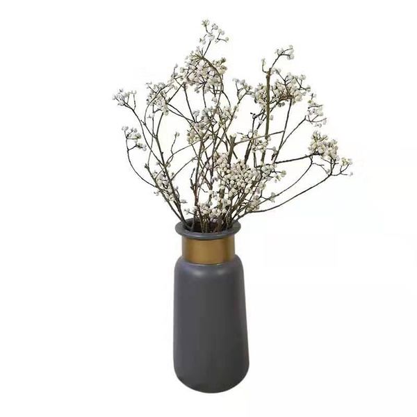 4pcs natural dried ginkgo fruit bunch dried mushroom grass flower for party home decor no vase
4pcs natural dried ginkgo fruit bunch dried mushroom grass flower for party home decor no vase