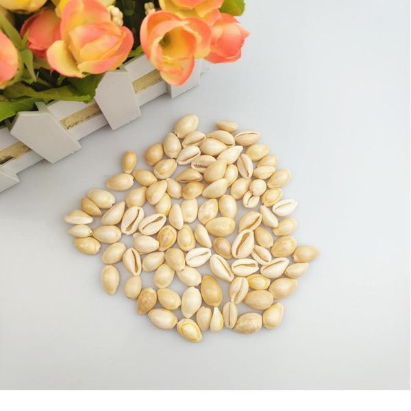 happykiss 500g cute natural sea shells loose beads accessories diy bracelets ornament home fish tank decor phnom pe qyltll
happykiss 500g cute natural sea shells loose beads accessories diy bracelets ornament home fish tank decor phnom pe qyltll