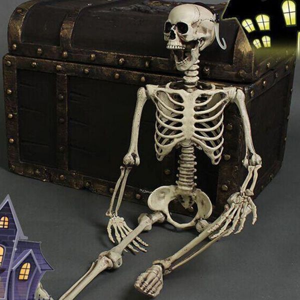 body poseable haunted house horror halloween decoration prop crafts home hanging artificial human skeleton full life size party
body poseable haunted house horror halloween decoration prop crafts home hanging artificial human skeleton full life size party