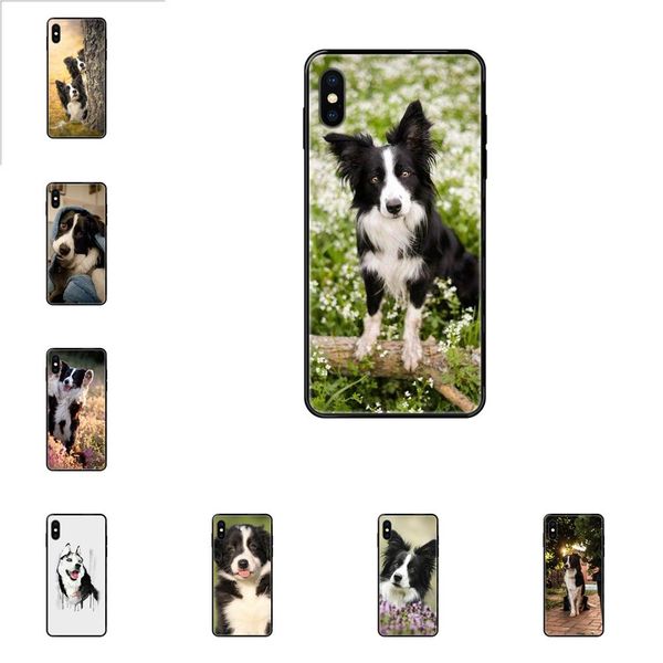 border collie dog puppy soft for iphone 11 12 pro max plus pro x xs max xr 8 7 6s se 5 5c 5s se 2020 painted cover phone case
border collie dog puppy soft for iphone 11 12 pro max plus pro x xs max xr 8 7 6s se 5 5c 5s se 2020 painted cover phone case