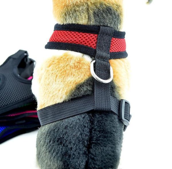 brand new pet dog nylon mesh harness strap vest collar small medium-sized dog puppy com jllurl garden_light
brand new pet dog nylon mesh harness strap vest collar small medium-sized dog puppy com jllurl garden_light