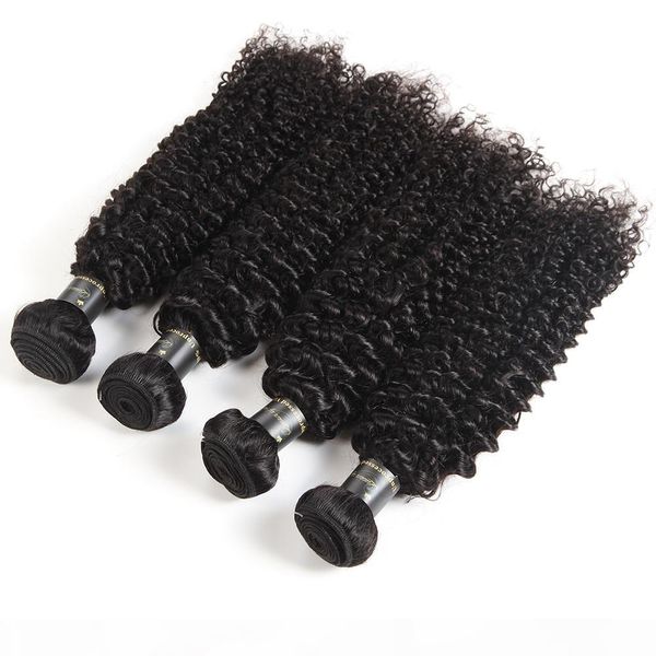 raw indian 9a unprocessed virgin hair bundles wet and wavy hair loose water wave natural deep wave afro kinky curly human hair extensions, Black
raw indian 9a unprocessed virgin hair bundles wet and wavy hair loose water wave natural deep wave afro kinky curly human hair extensions, Black