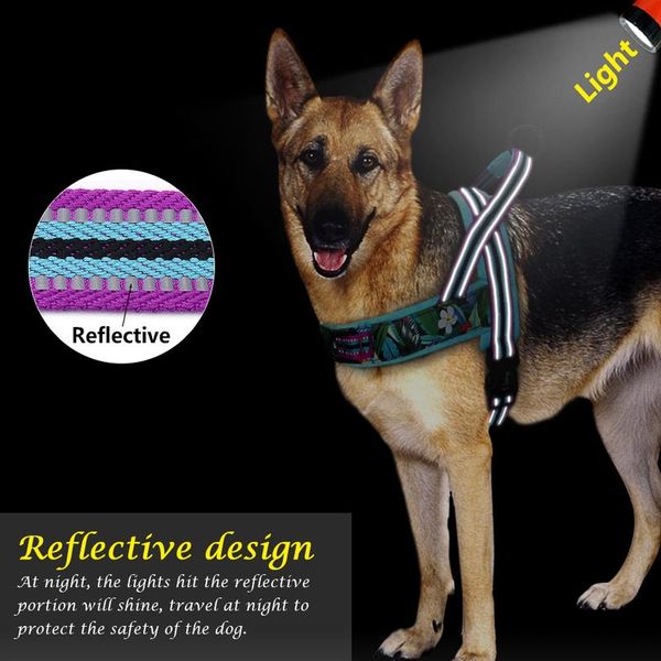 dog harness vest no pull nylon reflective puppy harnesses for small medium large dogs adjustable outdoor walking pet har jllodj
dog harness vest no pull nylon reflective puppy harnesses for small medium large dogs adjustable outdoor walking pet har jllodj