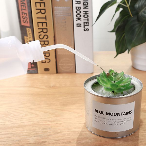 succulents, pointed mouth non-spray bottle dispenser liquid kitchen tools transparent container watering g705
succulents, pointed mouth non-spray bottle dispenser liquid kitchen tools transparent container watering g705