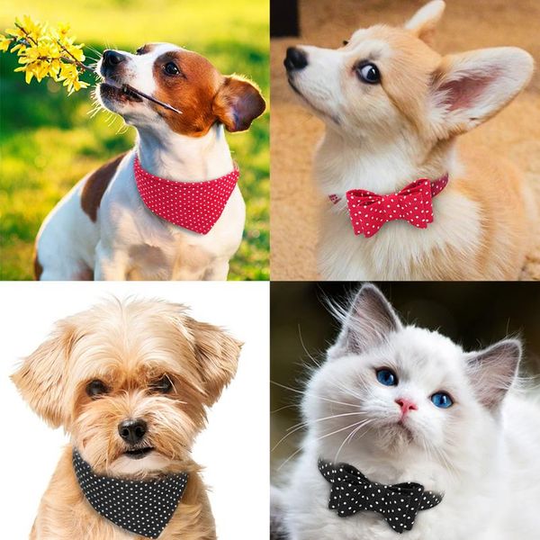small leather dog collar bandana dog walking leash cute dot bow cat collars lead leash for small medium dogs cats c wmtwgr
small leather dog collar bandana dog walking leash cute dot bow cat collars lead leash for small medium dogs cats c wmtwgr